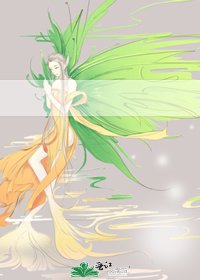 今天的审神者附身了吗「综」