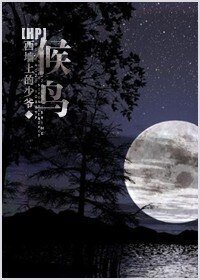 （HP同人）候鸟